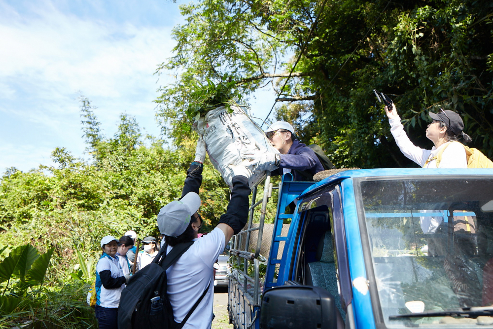 友達串聯志工組成水環境巡守隊，針對霄裡溪沿岸3公里的小花蔓澤蘭，定期進行移除與防治工作